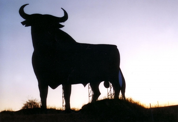 Click to Enlarge

Name: Toro007-full.jpg
Size: 85 KB