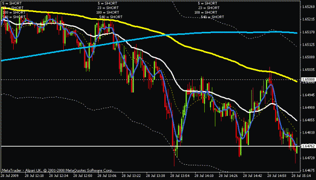 Click to Enlarge

Name: yellow capped the trend.gif
Size: 17 KB