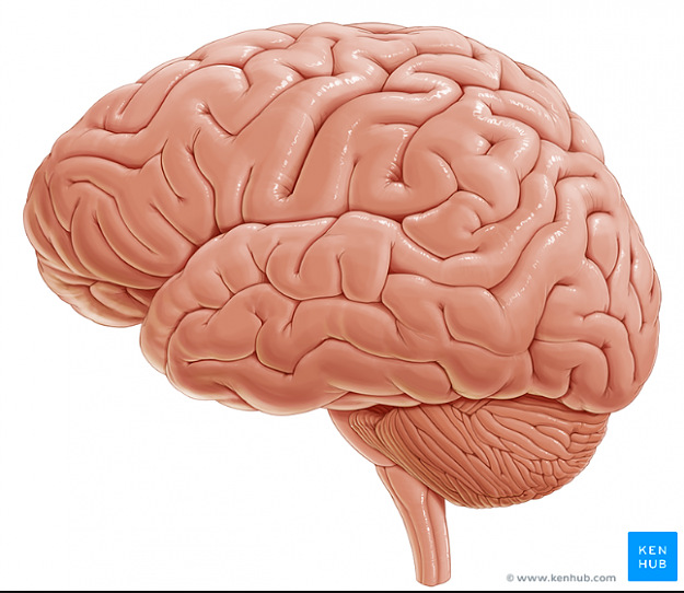 Click to Enlarge

Name: Screenshot1.png
Size: 384 KB