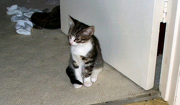 Click to Enlarge

Name: 100_5705-1.JPG
Size: 51 KB
