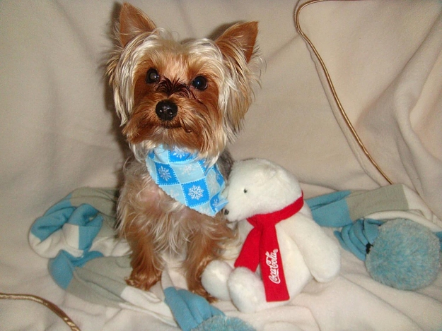 Click to Enlarge

Name: DSC05409[1].jpg
Size: 157 KB