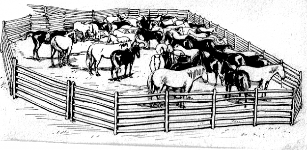 Click to Enlarge

Name: Corraled Bulls.png
Size: 139 KB