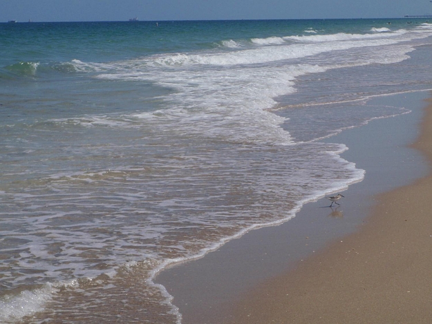 Click to Enlarge

Name: beachcomber weekend 025.jpg
Size: 159 KB
