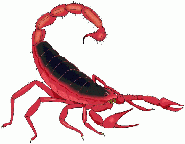 Click to Enlarge

Name: scorpion1.gif
Size: 76 KB