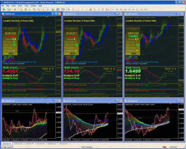 Click to Enlarge

Name: thv multi setup.gif
Size: 104 KB