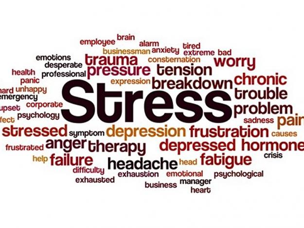 Click to Enlarge

Name: stress words effects.jpg
Size: 72 KB