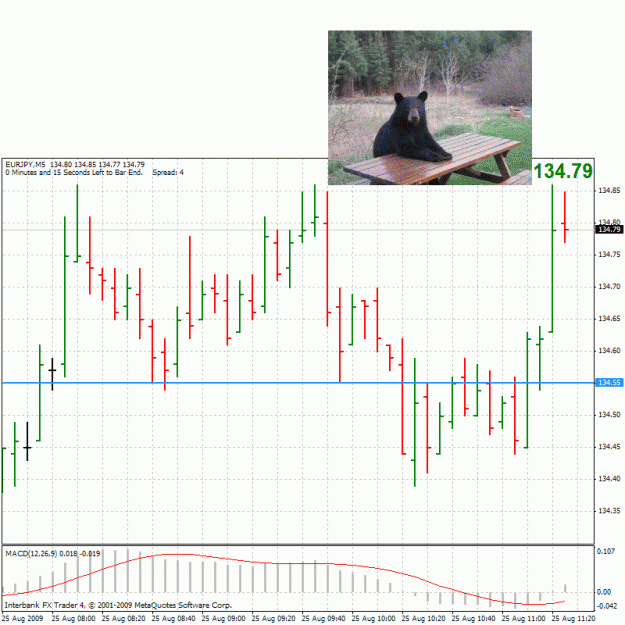 Click to Enlarge

Name: 20090825-eurjpy-m5.gif
Size: 65 KB
