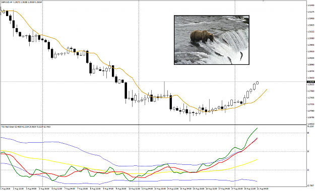 Click to Enlarge

Name: GBPUSD Week 34 bear waiting for feast.png
Size: 218 KB