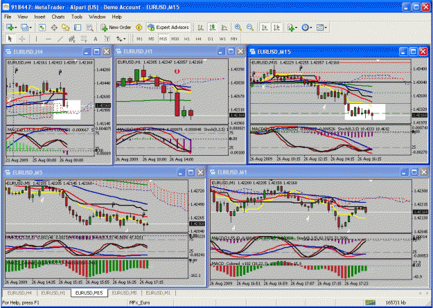 Click to Enlarge

Name: euro.gif
Size: 66 KB