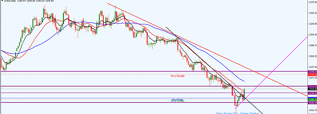 Click to Enlarge

Name: XAUUSD_D1_August_26,_2018_001.png
Size: 48 KB