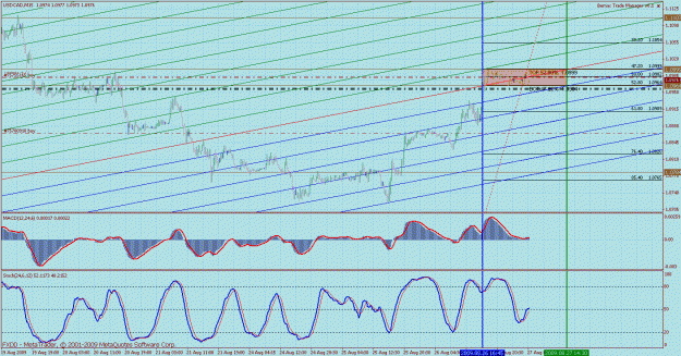 Click to Enlarge

Name: bmc usdcad 15min 2.gif
Size: 53 KB