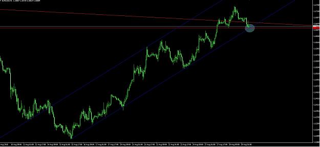 Click to Enlarge

Name: EurUSD1.jpg
Size: 157 KB
