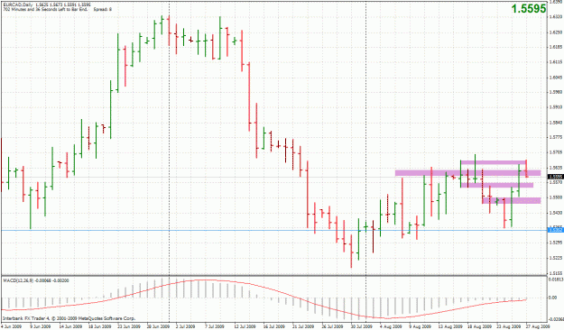 Click to Enlarge

Name: 20090827-eurcad-d1.gif
Size: 37 KB