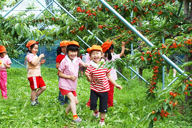 Click to Enlarge

Name: kids picking cherries.png
Size: 2.9 MB