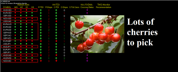 Click to Enlarge

Name: TMS Monitor Sep 11 cherry picking season.png
Size: 218 KB