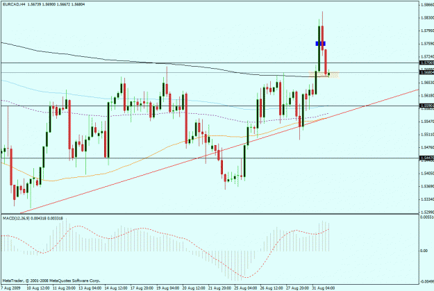 Click to Enlarge

Name: eur_cad_4hr_31aug09.gif
Size: 23 KB
