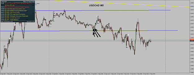 Click to Enlarge

Name: USDCADM5 y.png
Size: 55 KB