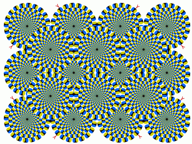 Click to Enlarge

Name: rotsnake.gif
Size: 303 KB