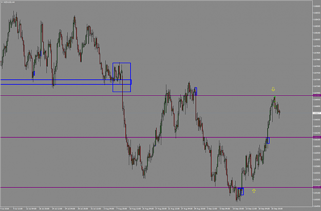 Click to Enlarge

Name: NZDUSD11.png
Size: 81 KB
