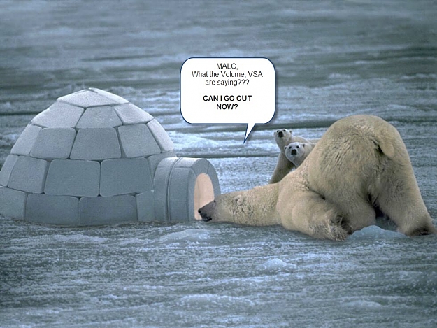 Click to Enlarge

Name: Polar_bear1.jpg
Size: 97 KB