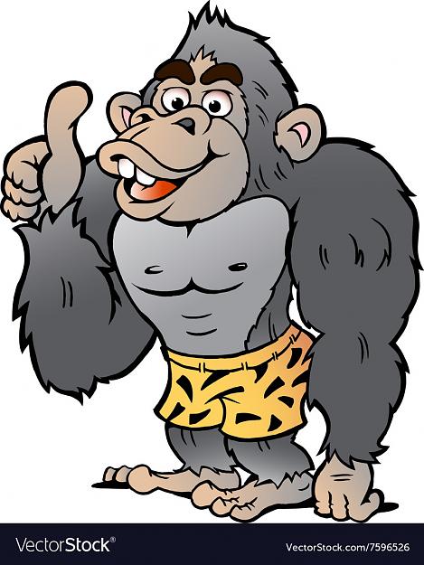 Click to Enlarge

Name: cartoon-of-a-strong-gorilla-giving-thumb-up-vector-7596526.jpg
Size: 162 KB
