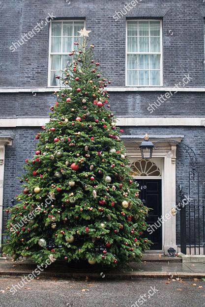 Click to Enlarge

Name: downing-street-christmas-tree-erected-london-uk-shutterstock-editorial-10010776b.jpg
Size: 407 KB