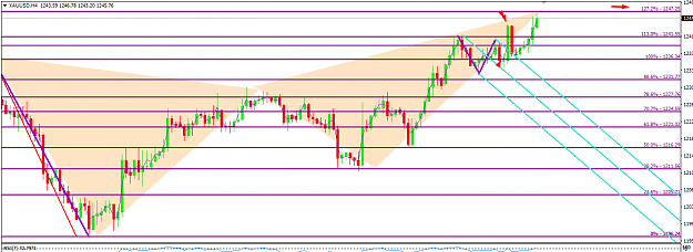 Click to Enlarge

Name: gold be butterfly ed ch ptz update.png
Size: 38 KB