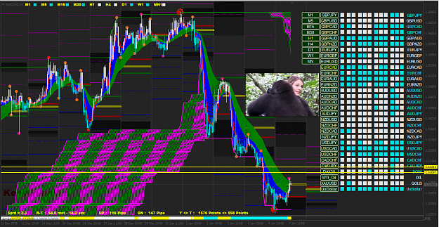 Click to Enlarge

Name: gorilla-00029.png
Size: 208 KB