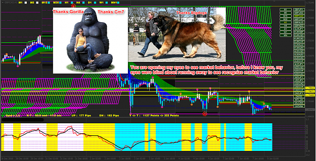 Click to Enlarge

Name: gorilla-00033.png
Size: 572 KB
