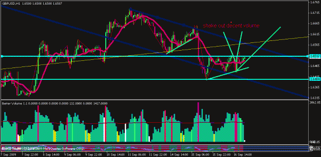 Click to Enlarge

Name: chf03.gif
Size: 20 KB