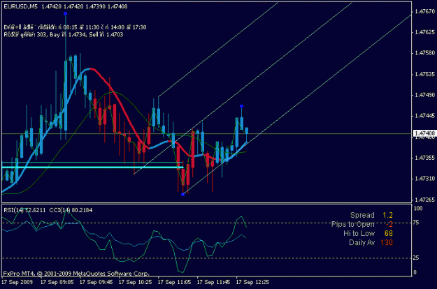 Click to Enlarge

Name: 5mscalp.gif
Size: 14 KB