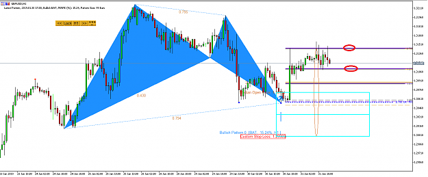 Click to Enlarge

Name: Harmonic Pattern Plus-Advanced Price Pattern Scanner -GBPUSD S1520.png
Size: 31 KB