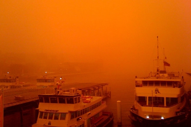 Click to Enlarge

Name: Sydney.jpg
Size: 41 KB