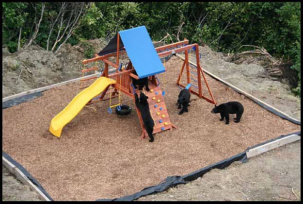Click to Enlarge

Name: playground3.jpg
Size: 90 KB