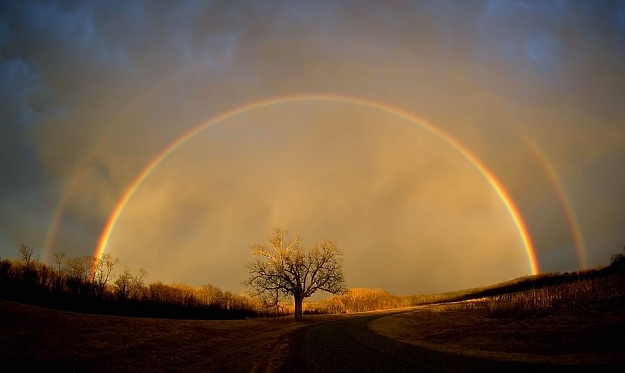 Click to Enlarge

Name: Rainbow.jpg
Size: 37 KB