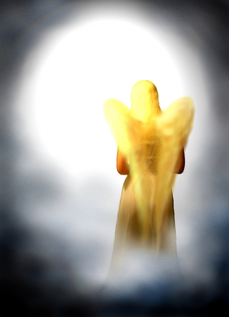 Click to Enlarge

Name: Angel.jpg
Size: 246 KB