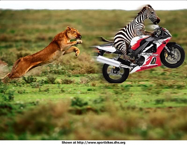 Click to Enlarge

Name: funny.jpg
Size: 76 KB