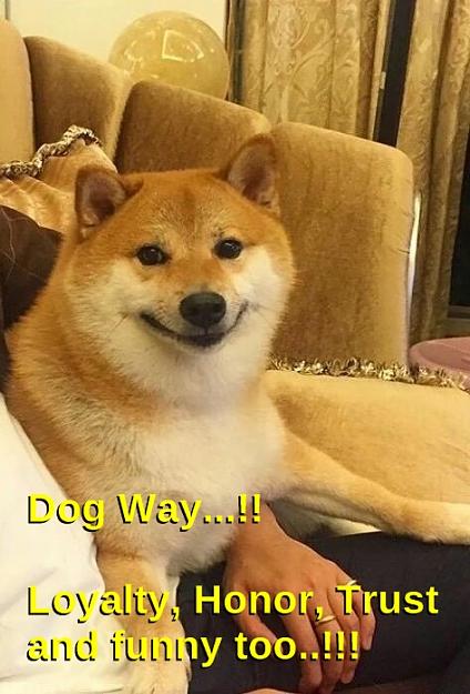 Click to Enlarge

Name: Dog Way - Shiba Inu.jpg
Size: 171 KB