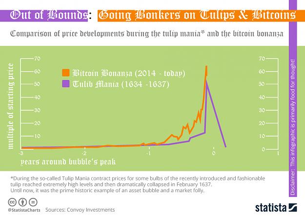 Click to Enlarge

Name: chartoftheday_12352_price_developments_during_the_tulip_mania_and_the_bitcoin_bonanza_n.jpg
Size: 146 KB