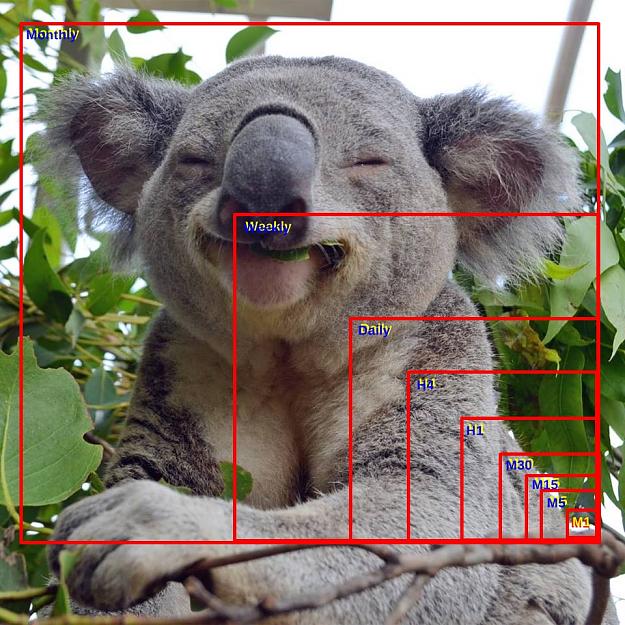 Click to Enlarge

Name: Koala - Smile Rectangle TF.jpg
Size: 454 KB