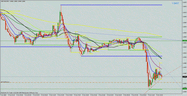 Click to Enlarge

Name: uc_15m.gif
Size: 30 KB