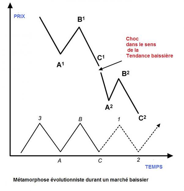 Click to Enlarge

Name: METAMORPHOSE EVOLUTIONNISTE MARCHE BAISSIER.jpg
Size: 30 KB