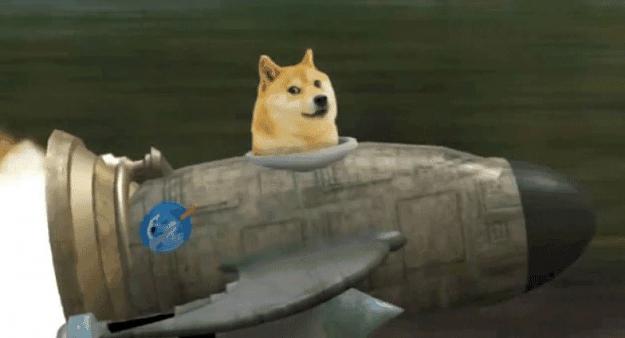Click to Enlarge

Name: dogshiptospace.jpg
Size: 74 KB