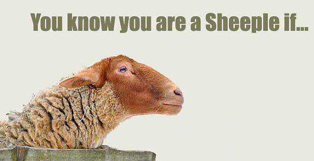 Click to Enlarge

Name: what-is-sheeple.jpg
Size: 25 KB