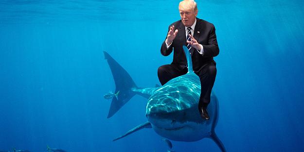 Click to Enlarge

Name: 1501696419-es-080217-donald-trump-wanted-to-be-in-sharknado.jpg
Size: 216 KB