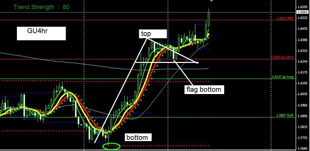 Click to Enlarge

Name: bullflag.JPG
Size: 68 KB