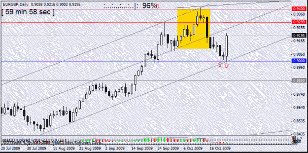 Click to Enlarge

Name: eur gbp  daily     23 oct no12.gif
Size: 15 KB