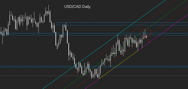 Click to Enlarge

Name: usdcad_d.PNG
Size: 72 KB