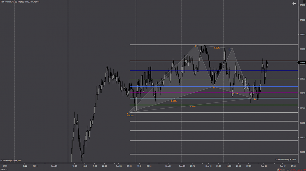 Click to Enlarge

Name: YM 09-19 (1597 Tick).png
Size: 73 KB