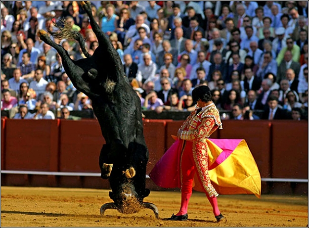 Click to Enlarge

Name: Inverted Bull !.jpg
Size: 101 KB
